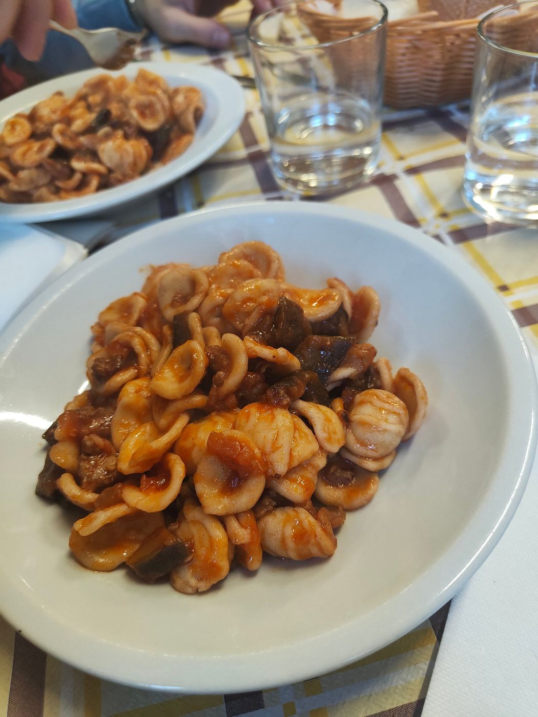Piatto di orecchiette al sugo